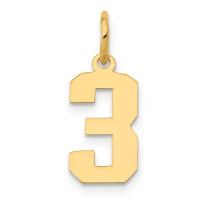 14K Gold Small Polished Number 3 Charm Laser-Cut Adjustable Pendant