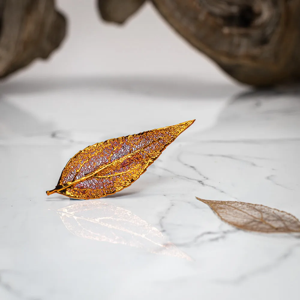 Eucalyptus Leaf - Copper Brooch