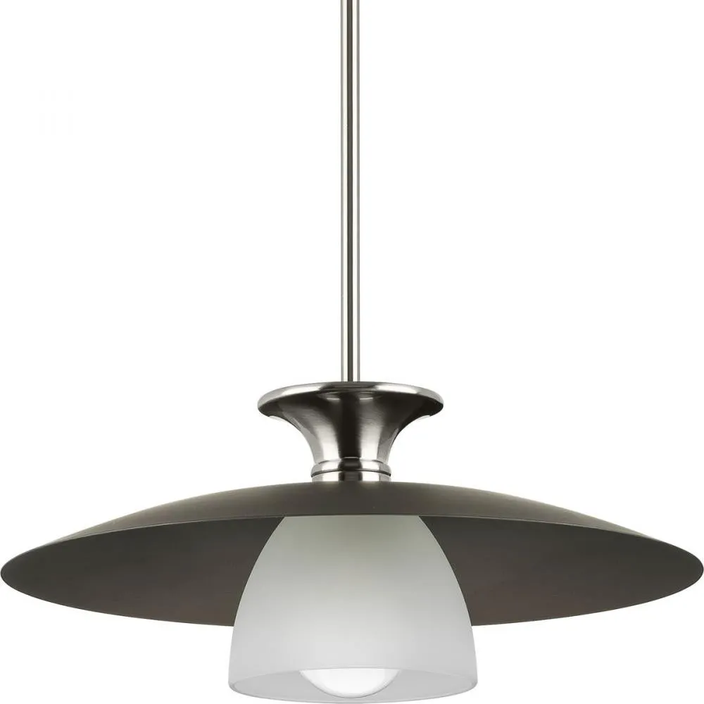 P500394-009 1-L Pendant