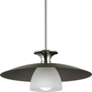 P500394-009 1-L Pendant