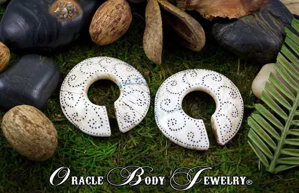 Shell Earrings